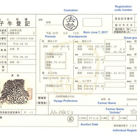 What's written on a Japanese Wagyu cattle nose print certificate?