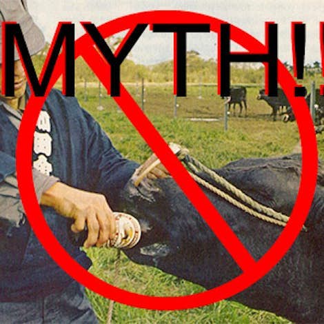 Myths & Facts: Japanese and American Wagyu