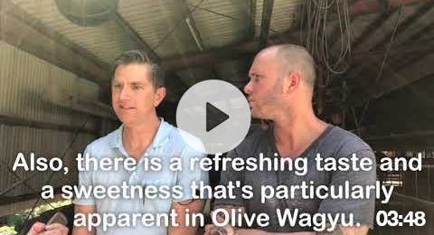 Olive Wagyu Television Interview (w/ Michelin-star Chef Mike Bagale)