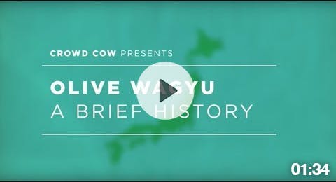 Olive Wagyu - A Brief History