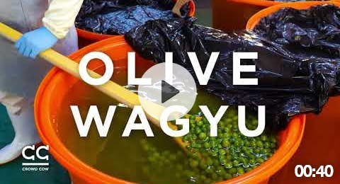 U.S. Debut of Olive Wagyu 4/16