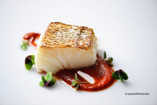 What is Sea Bass?: Exploring the Ocean's Culinary Delights