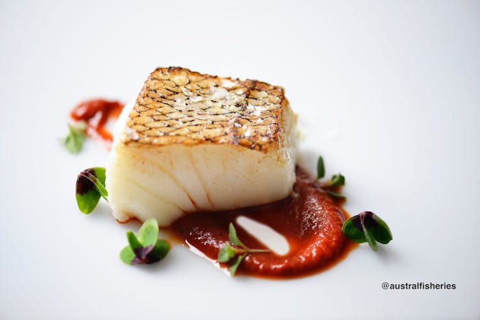 How to Cook Chilean Sea Bass (Toothfish)