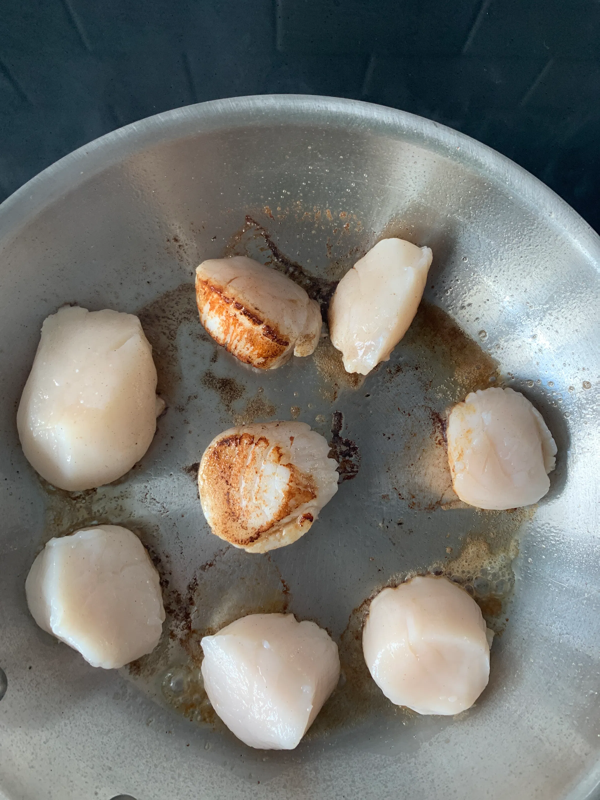 Image of Casco Bay Wild Maine Scallops