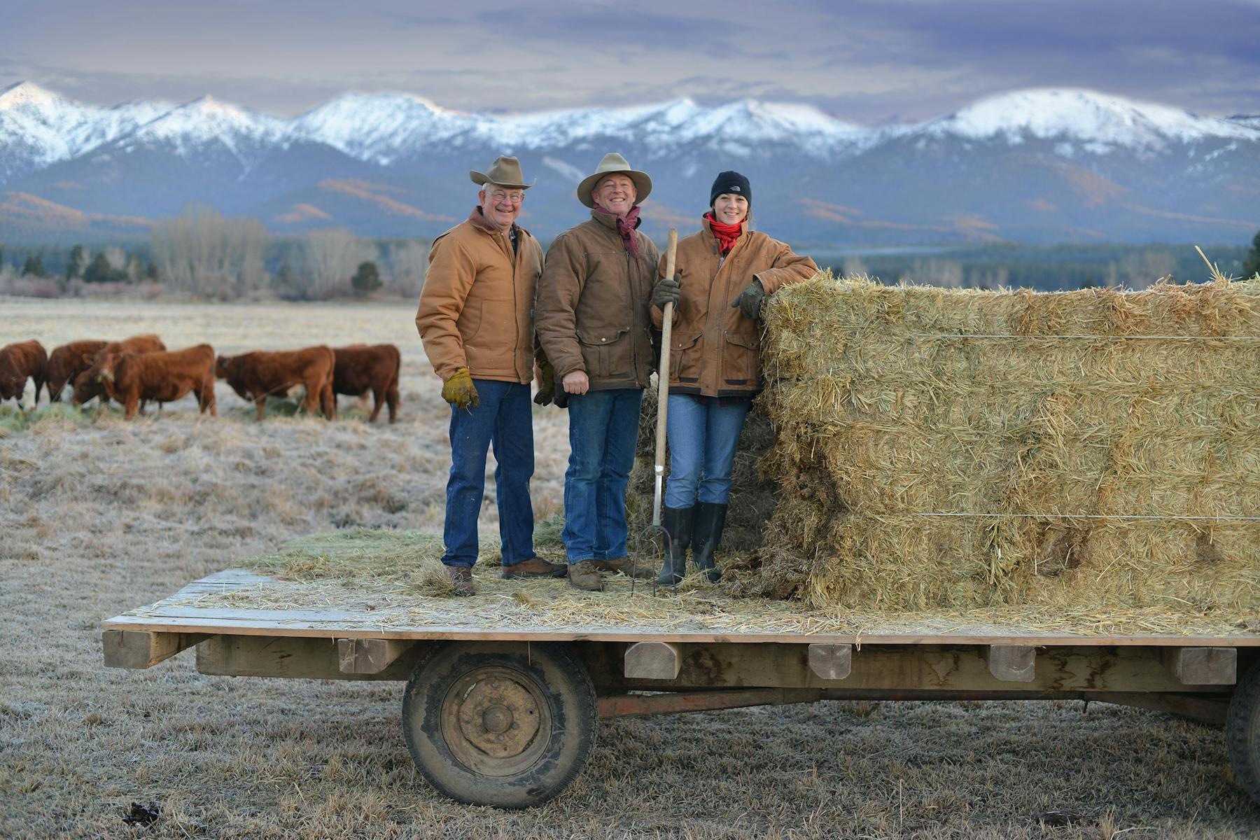 Country Natural Beef