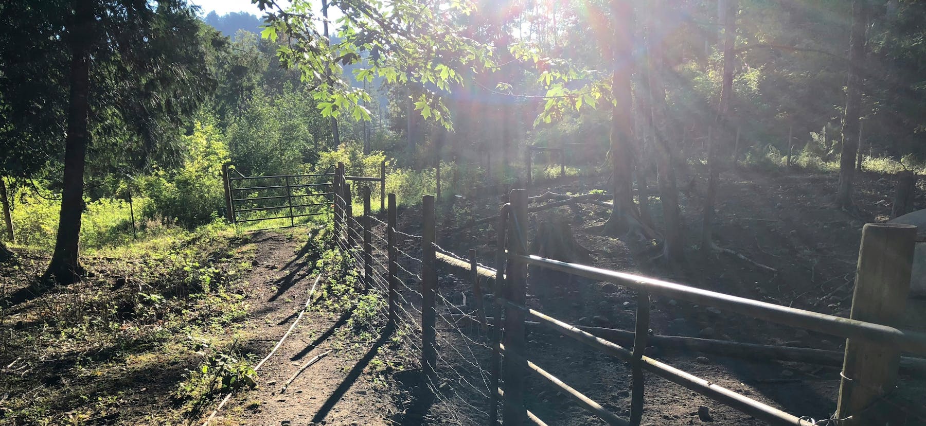 Wilderness Farms