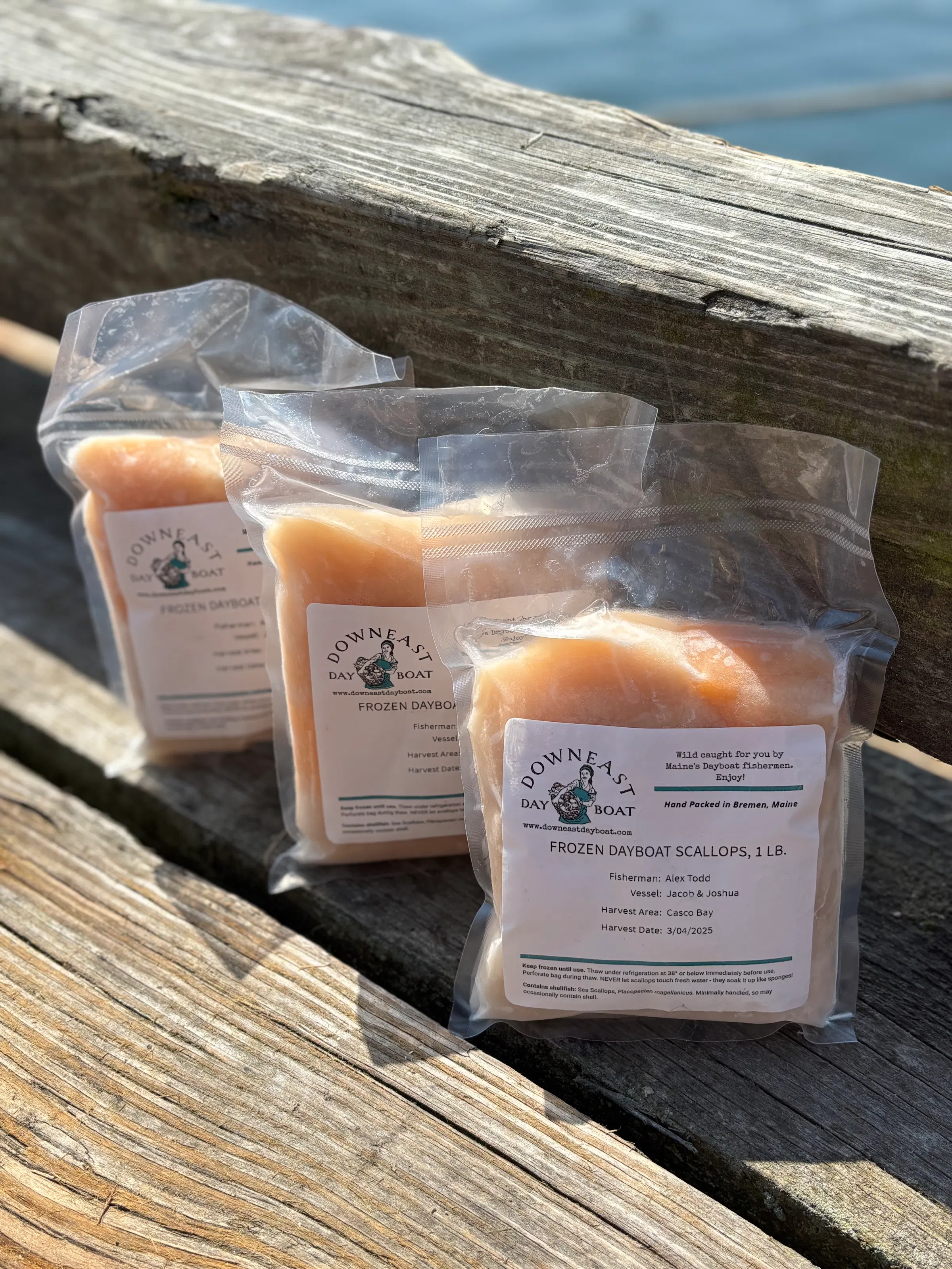 Image of Casco Bay Wild Maine Scallops