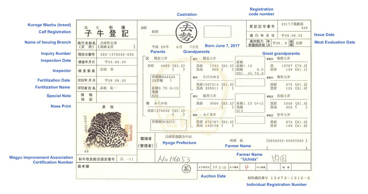 What's written on a Japanese Wagyu cattle nose print certificate?