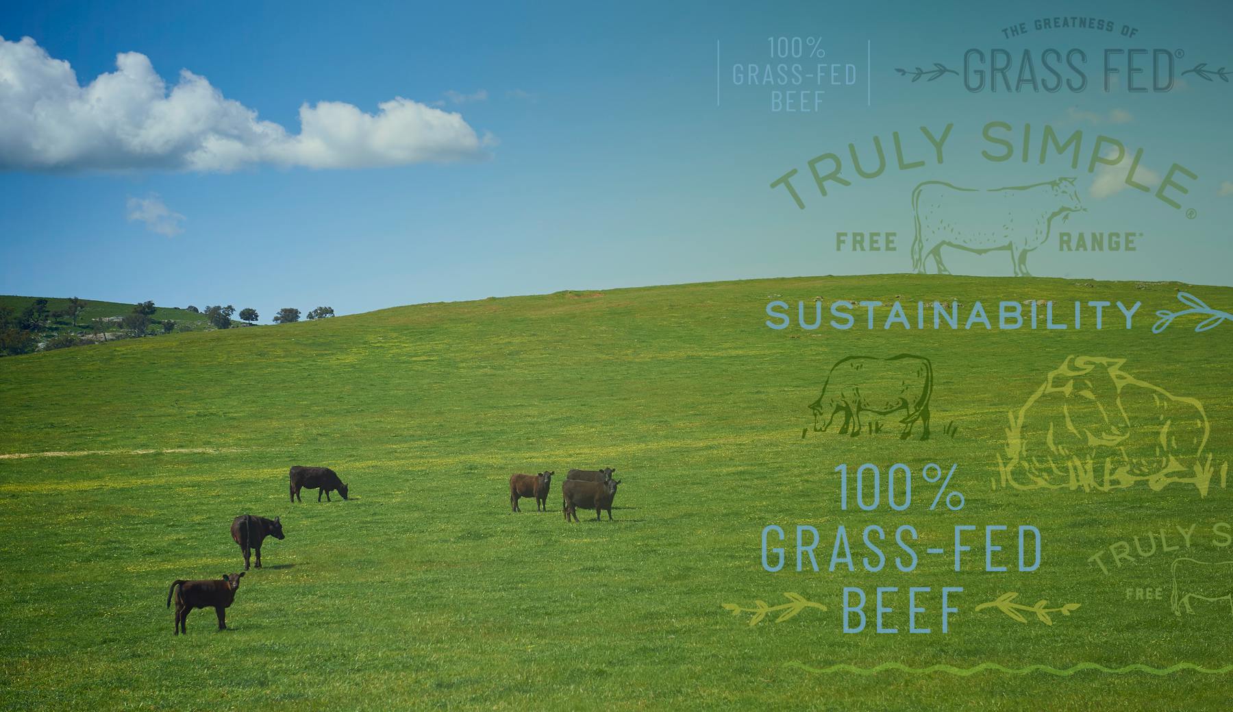 Truly Simple Grass-fed Beef