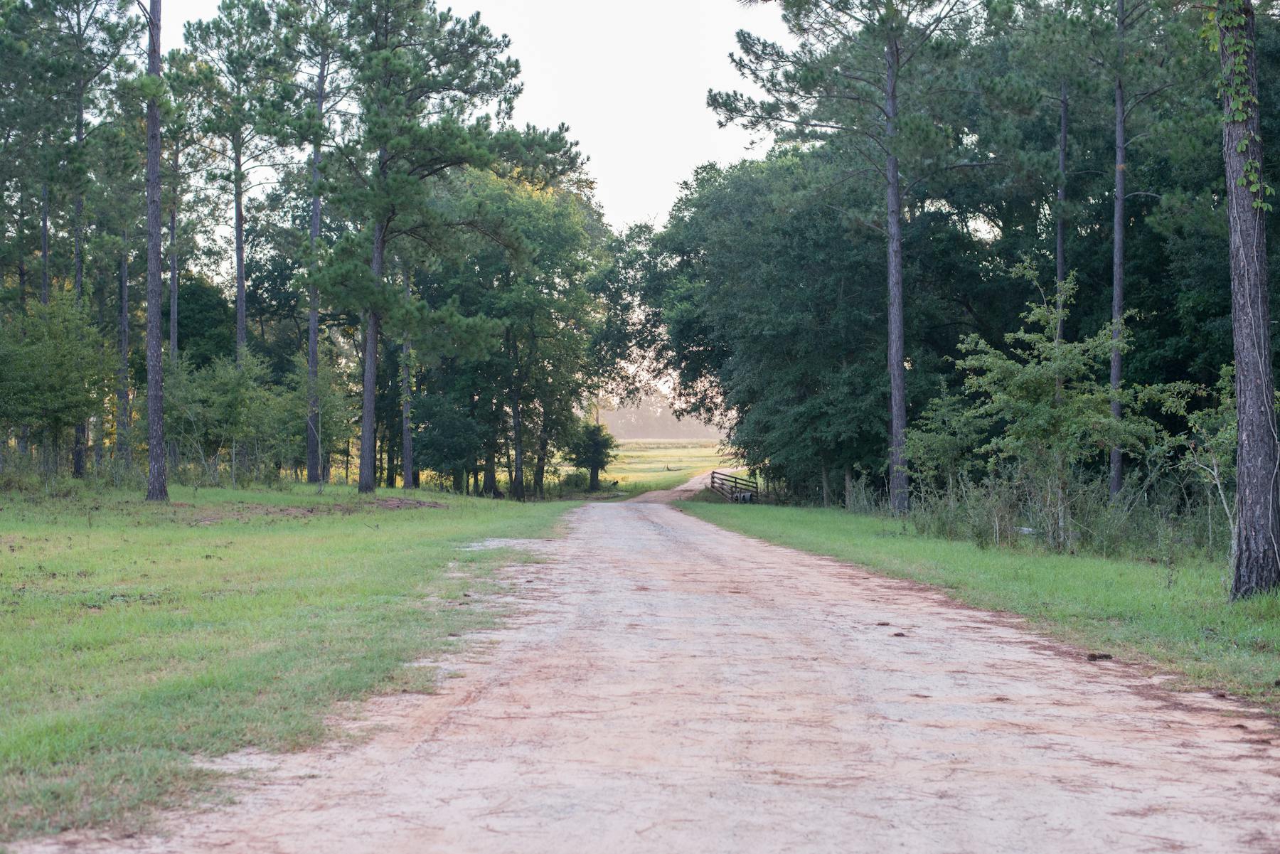 White Oak Pastures