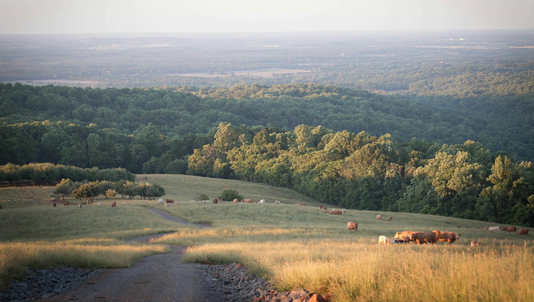 Glenmary Farm