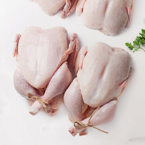 Image of Whole Chicken Family Pack