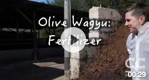 Olive Wagyu Fertilizer Olive Wagyu Fertilizer