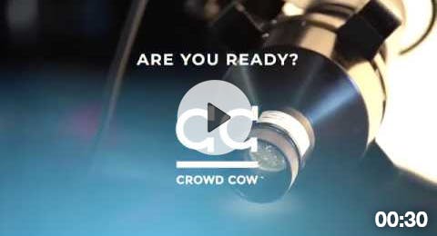 Are You Ready for Holiday Wagyu? Are You Ready for Holiday Wagyu?