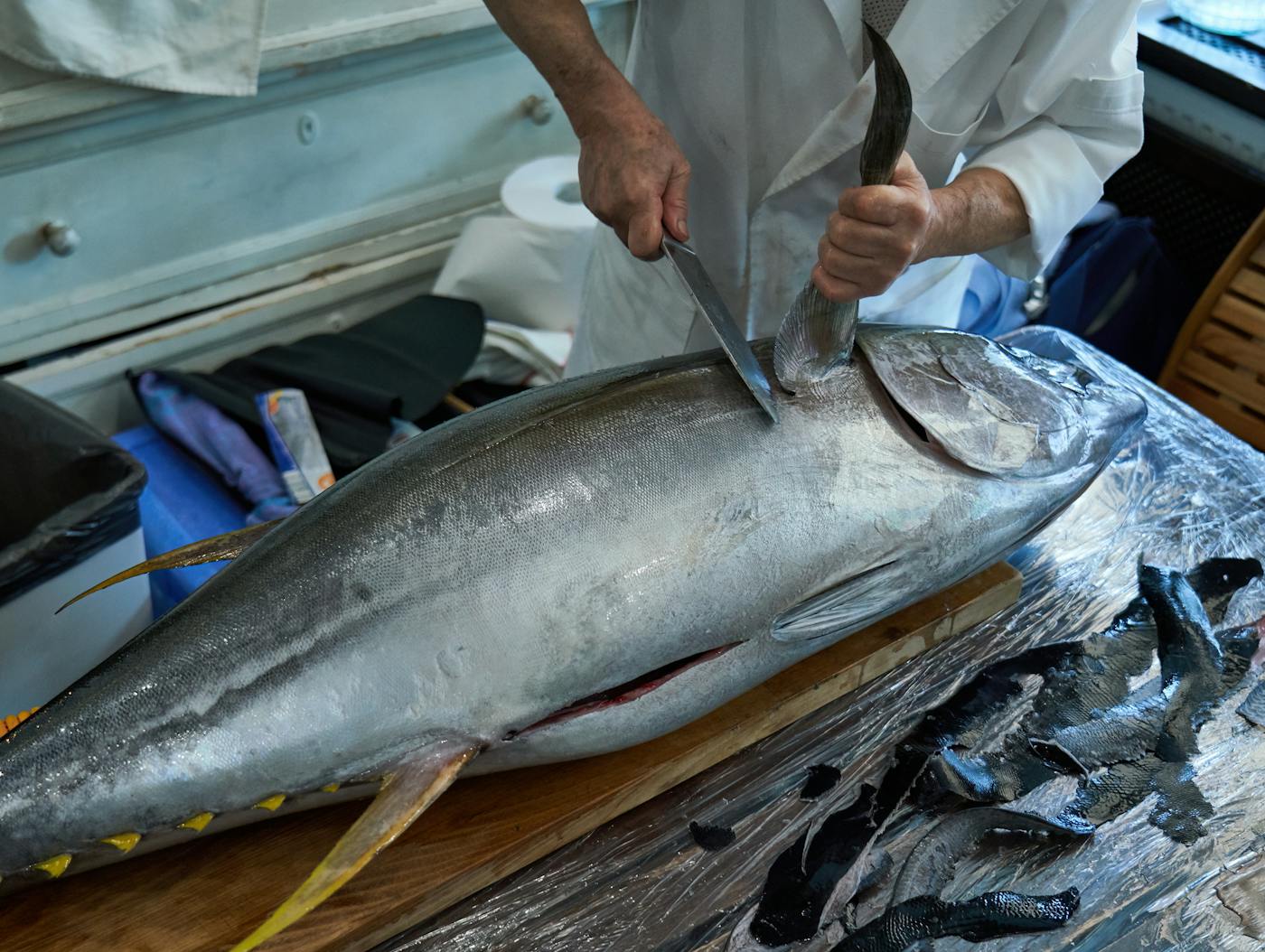 Vendor - Story - Media - Chef cutting large tuna fish