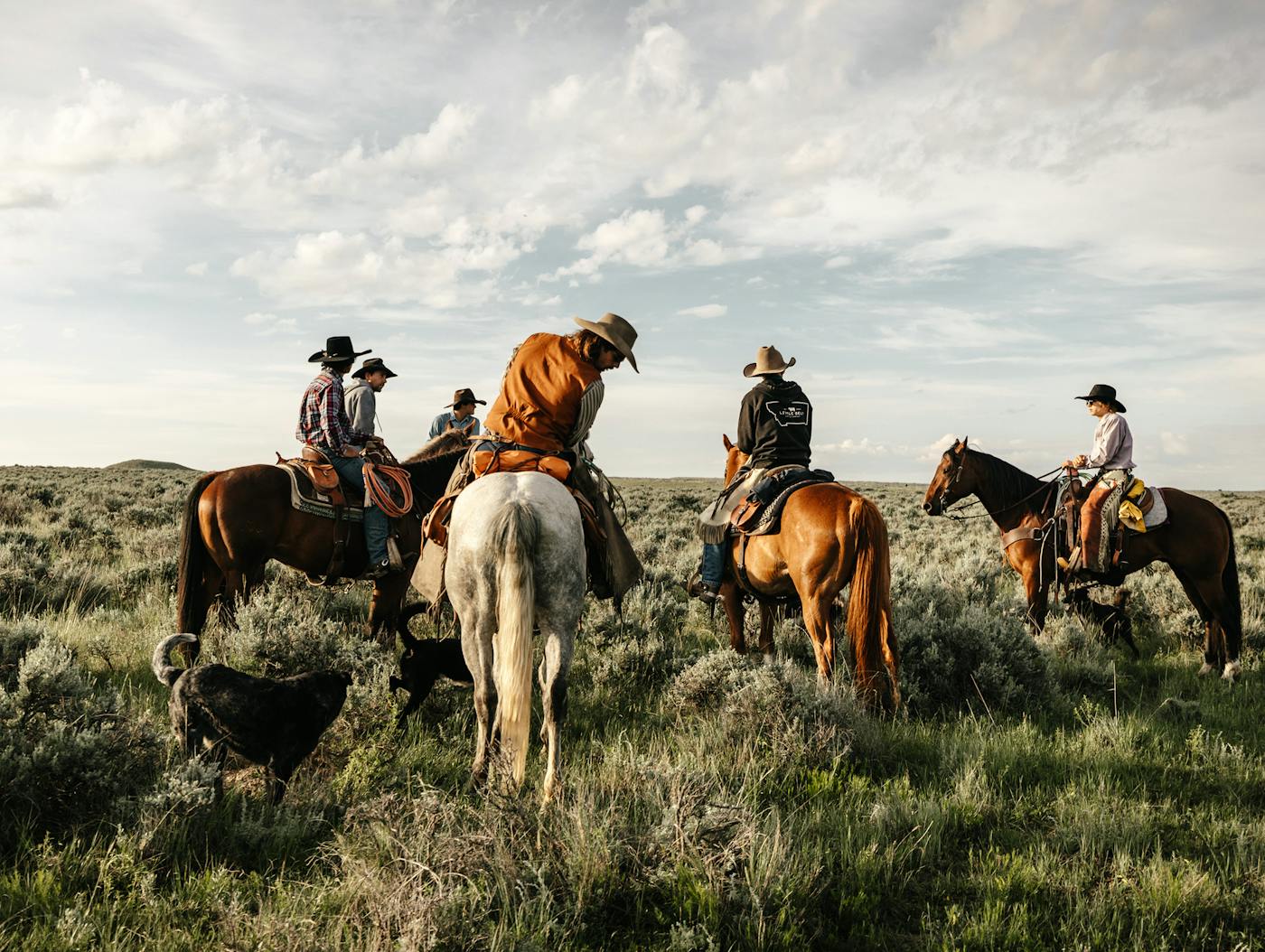 Limited Drop LP - Why We Sourced It - Little Belt Cattle Co. - Memorial Day