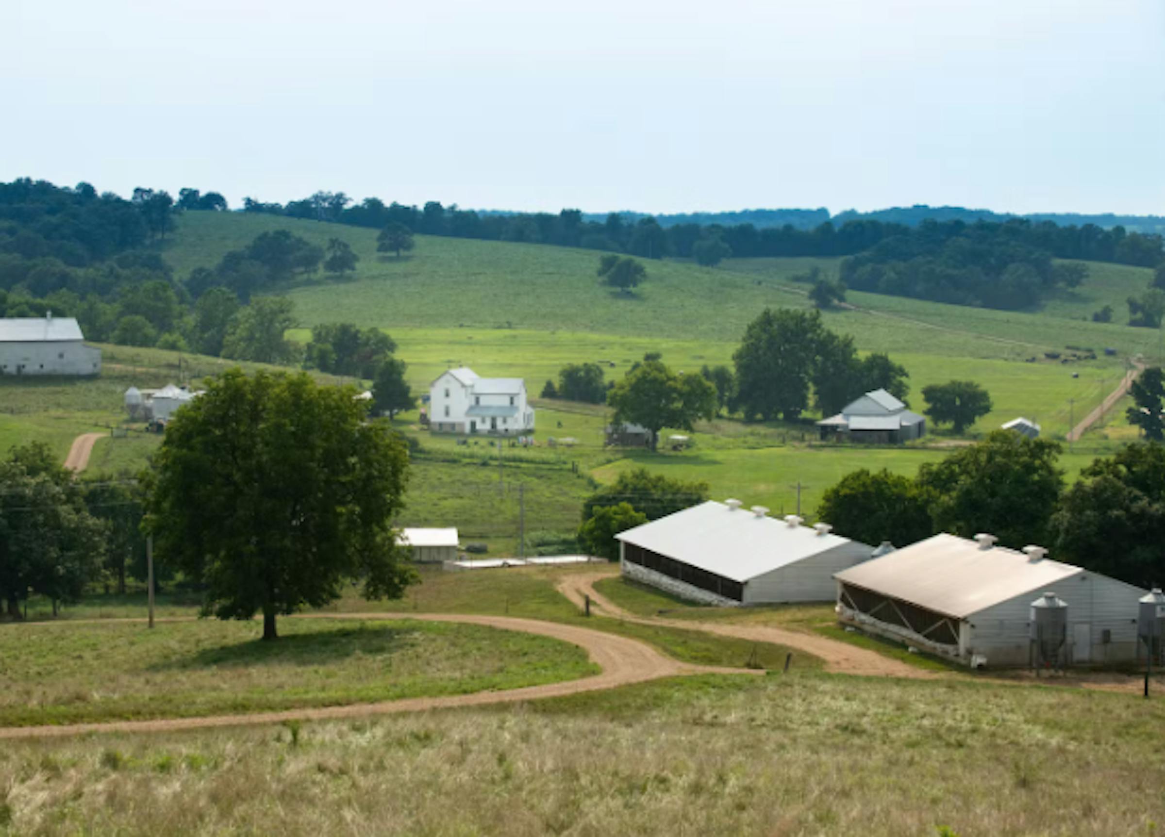 Humanely and Naturally Raised