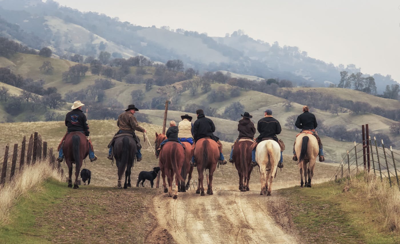 Panorama Farmers