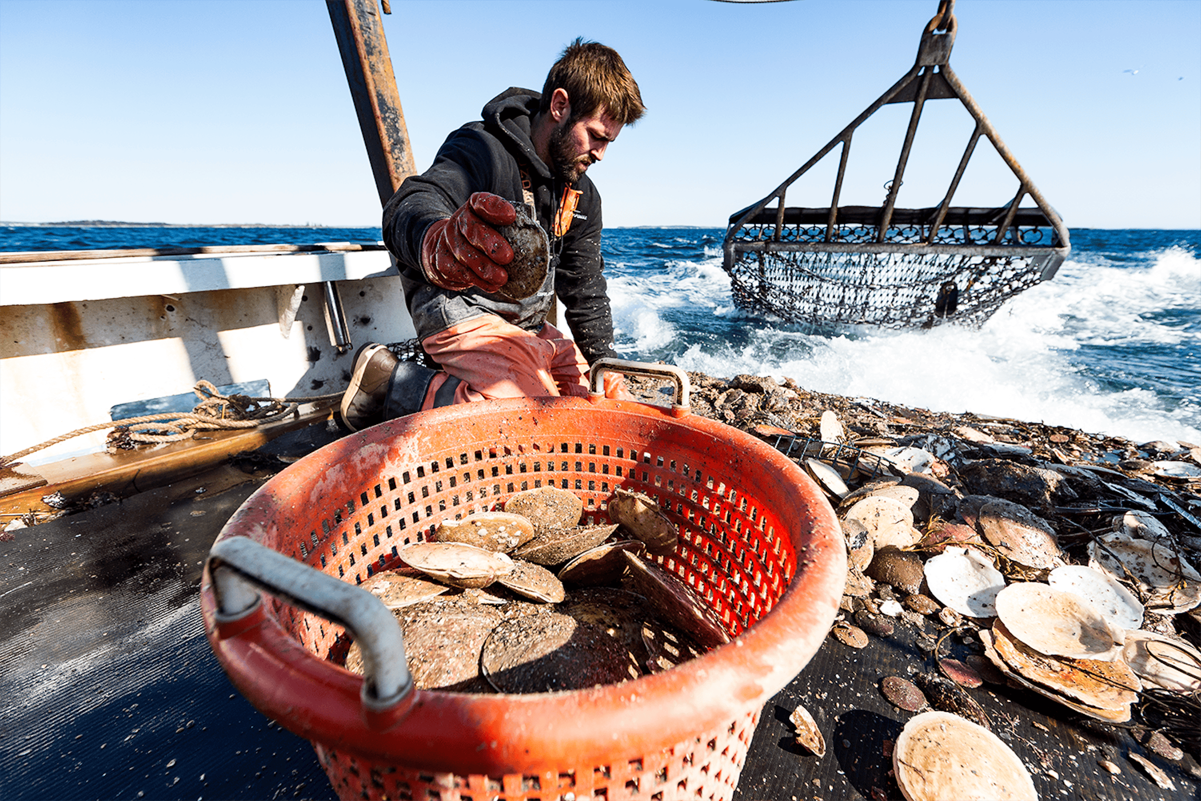 Sustainably Harvested