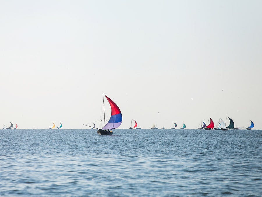 Panga Boats