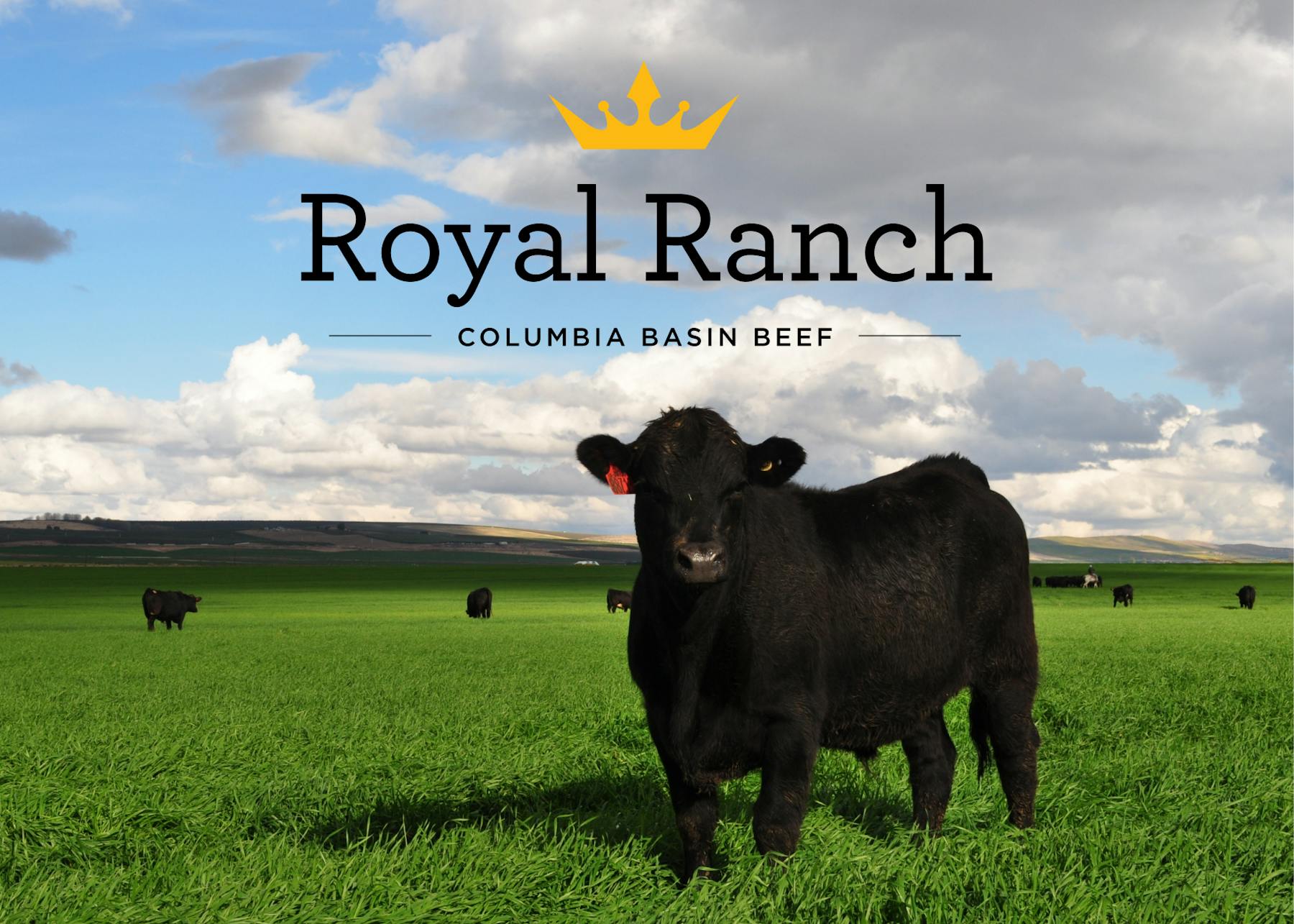 Royal Ranch Hero