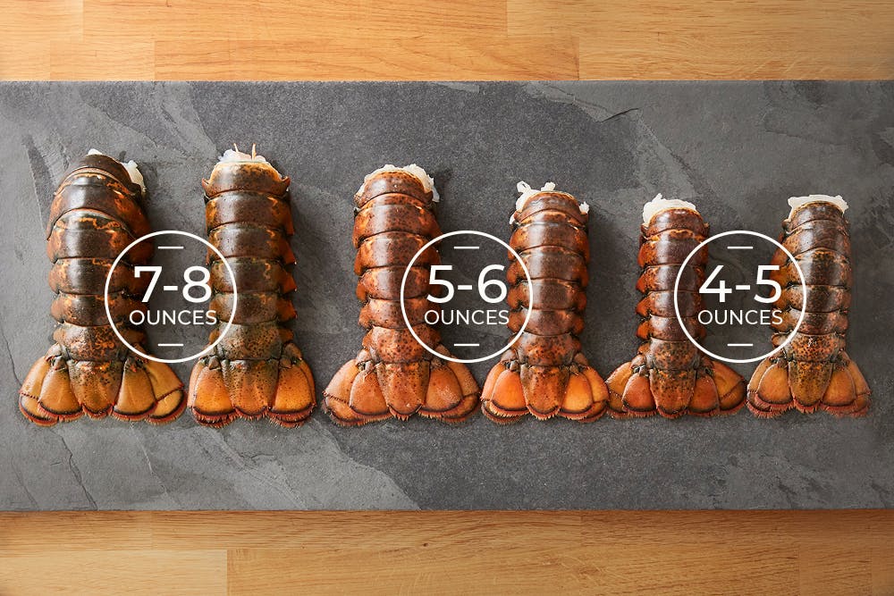 Lobster Tail Sizes